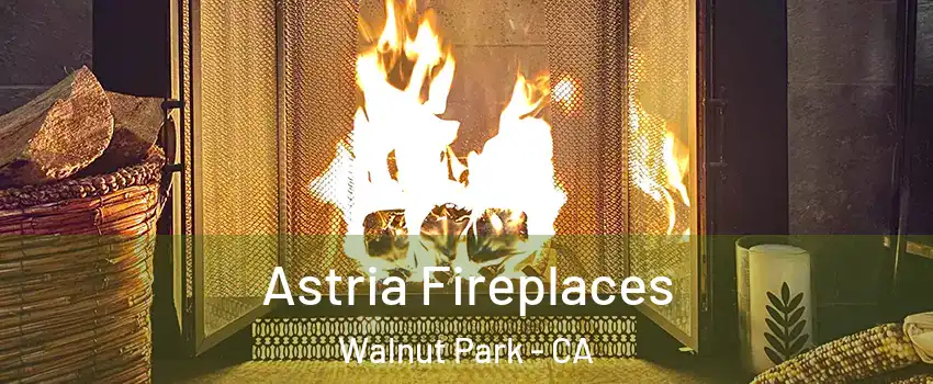  Astria Fireplaces Walnut Park - CA