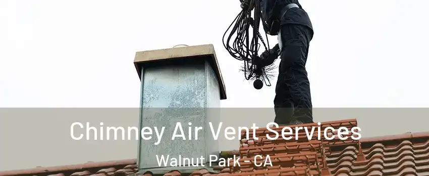  Chimney Air Vent Services Walnut Park - CA