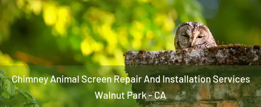 Chimney Animal Screen Repair And Installation Services Walnut Park - CA