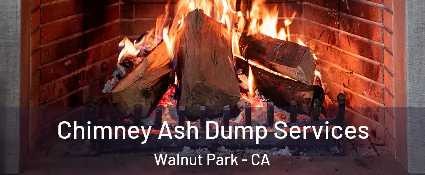  Chimney Ash Dump Services Walnut Park - CA