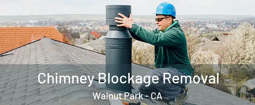  Chimney Blockage Removal Walnut Park - CA