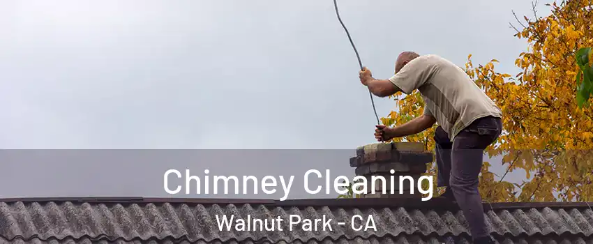  Chimney Cleaning Walnut Park - CA
