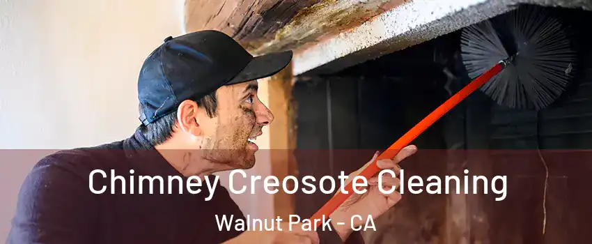 Chimney Creosote Cleaning Walnut Park - CA