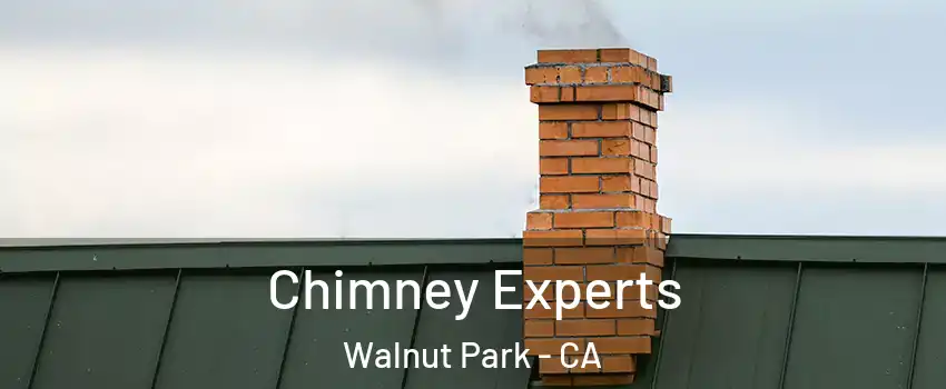 Chimney Experts Walnut Park - CA