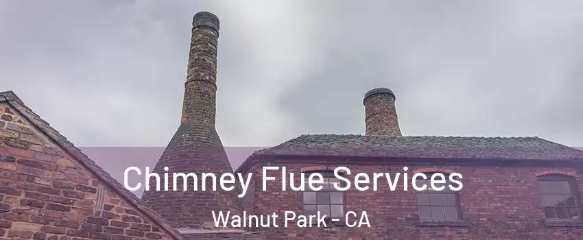 Chimney Flue Services Walnut Park - CA