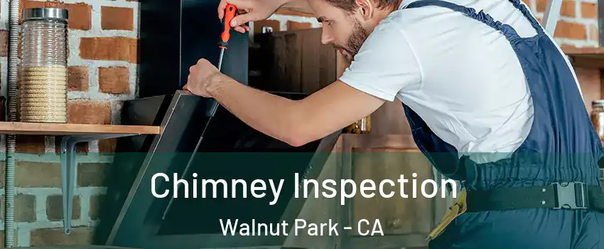  Chimney Inspection Walnut Park - CA