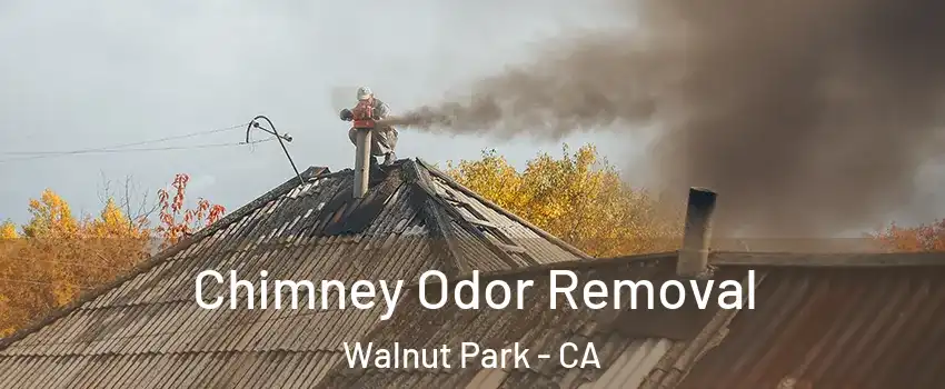  Chimney Odor Removal Walnut Park - CA