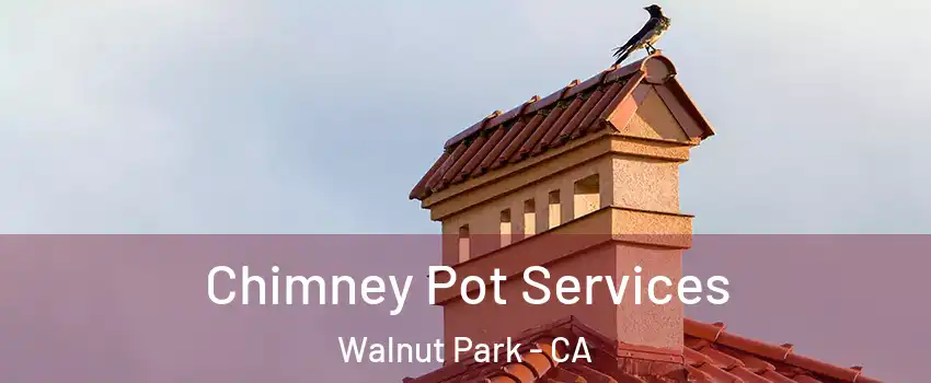  Chimney Pot Services Walnut Park - CA