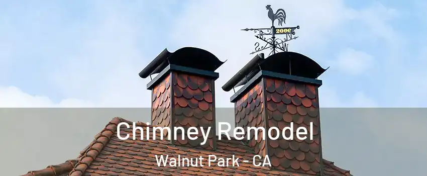 Chimney Remodel Walnut Park - CA