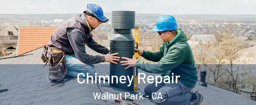 Chimney Repair Walnut Park - CA