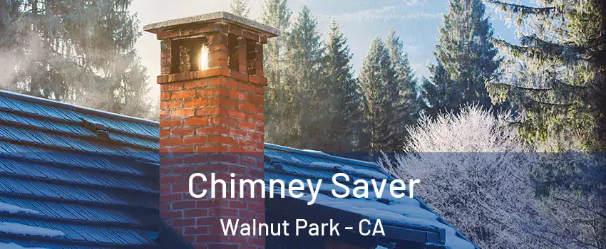 Chimney Saver Walnut Park - CA