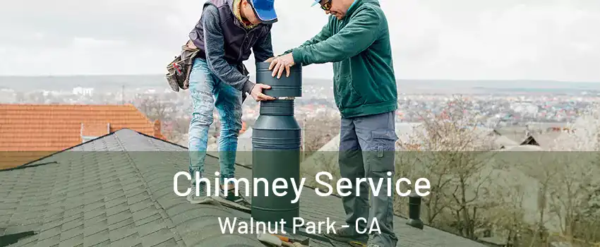  Chimney Service Walnut Park - CA
