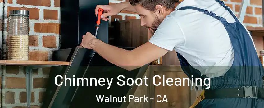  Chimney Soot Cleaning Walnut Park - CA