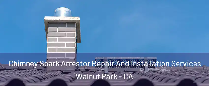 Chimney Spark Arrestor Repair And Installation Services Walnut Park - CA