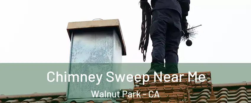  Chimney Sweep Near Me Walnut Park - CA