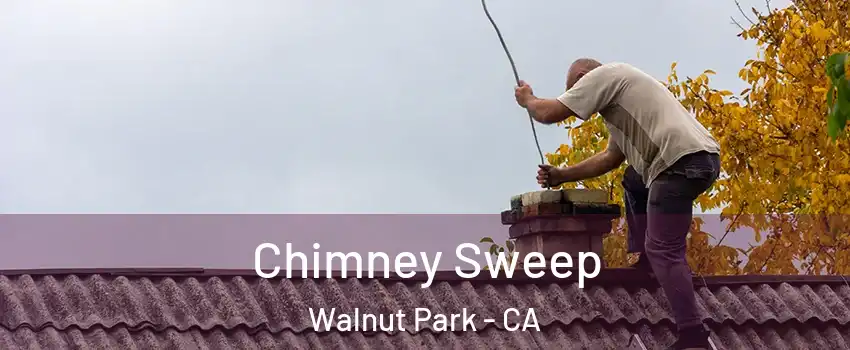  Chimney Sweep Walnut Park - CA