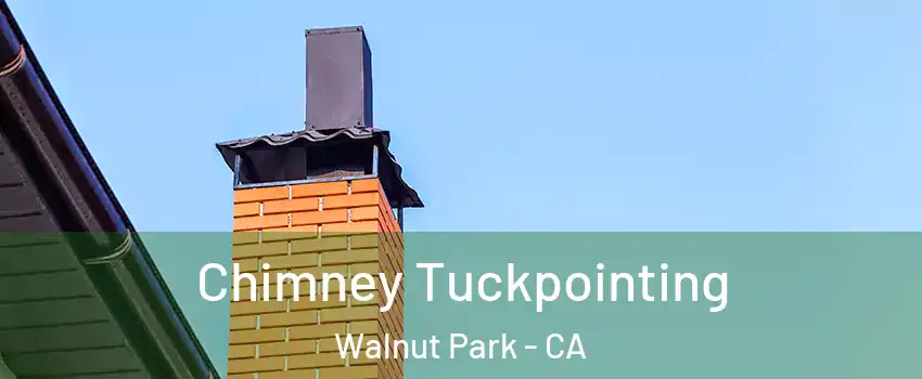  Chimney Tuckpointing Walnut Park - CA