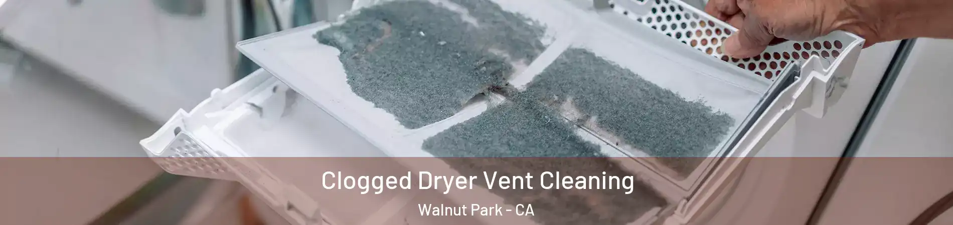 Clogged Dryer Vent Cleaning Walnut Park - CA