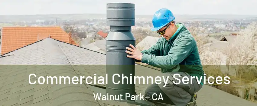 Commercial Chimney Services Walnut Park - CA