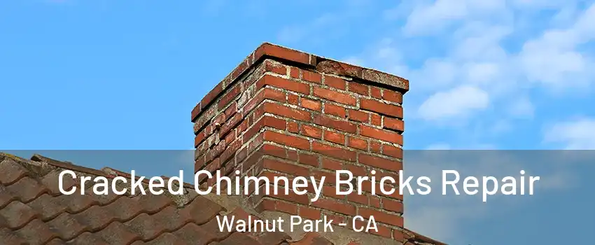  Cracked Chimney Bricks Repair Walnut Park - CA