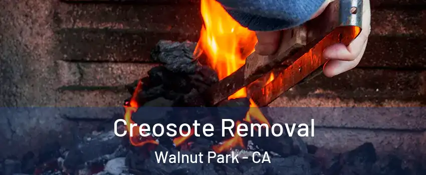  Creosote Removal Walnut Park - CA