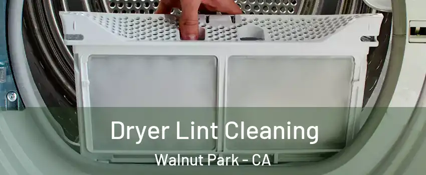  Dryer Lint Cleaning Walnut Park - CA