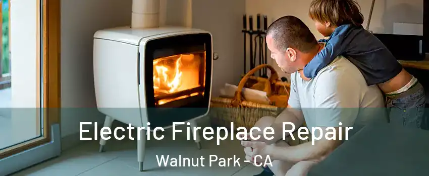 Electric Fireplace Repair Walnut Park - CA