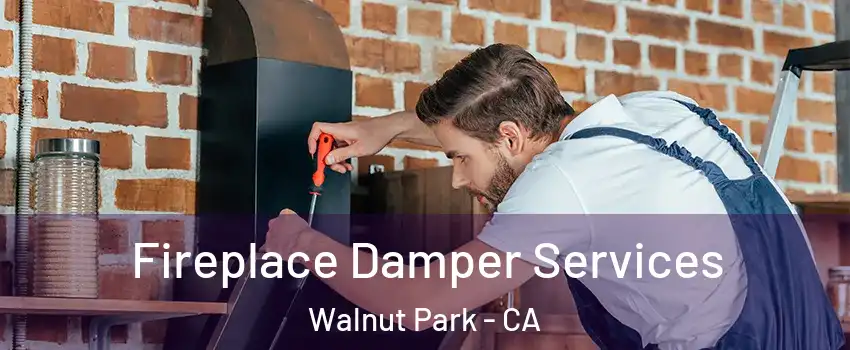  Fireplace Damper Services Walnut Park - CA
