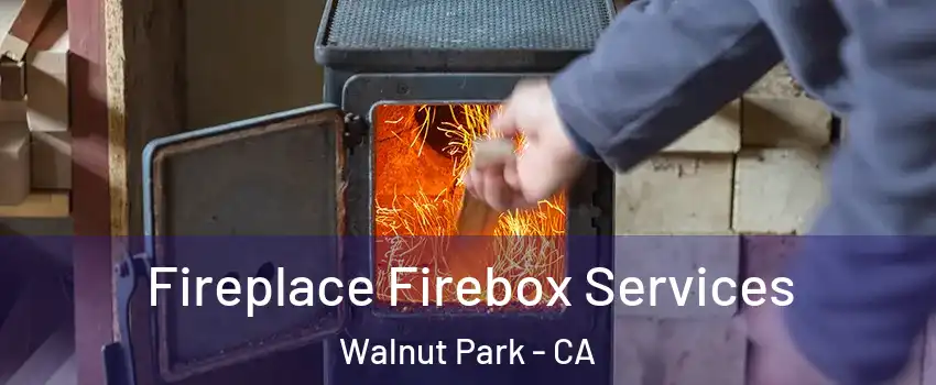  Fireplace Firebox Services Walnut Park - CA