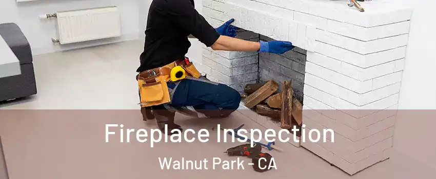 Fireplace Inspection Walnut Park - CA