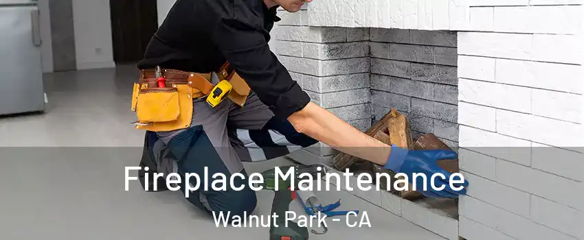  Fireplace Maintenance Walnut Park - CA