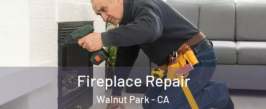  Fireplace Repair Walnut Park - CA
