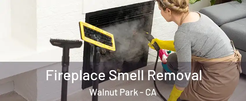  Fireplace Smell Removal Walnut Park - CA