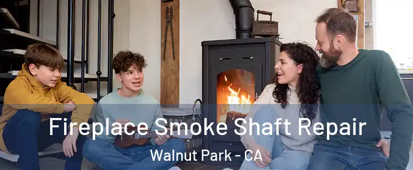 Fireplace Smoke Shaft Repair Walnut Park - CA