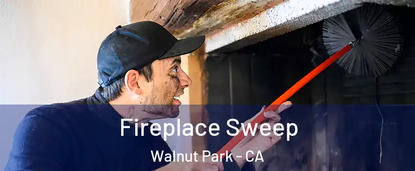  Fireplace Sweep Walnut Park - CA