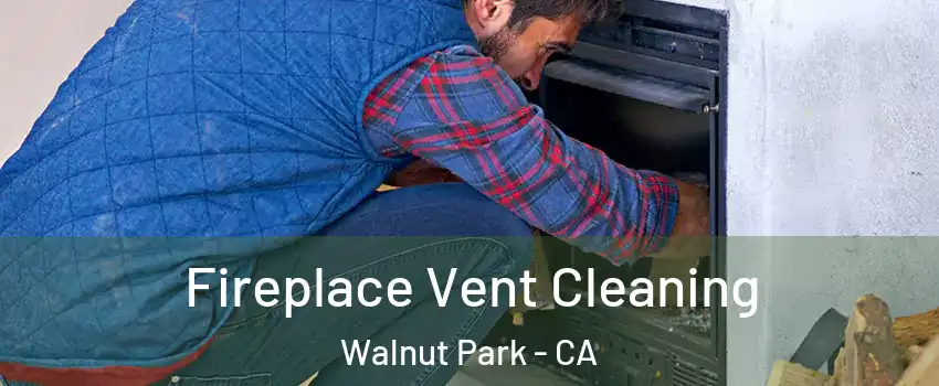  Fireplace Vent Cleaning Walnut Park - CA