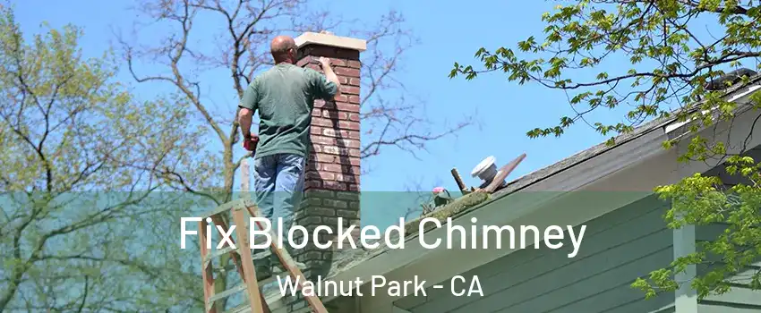Fix Blocked Chimney Walnut Park - CA