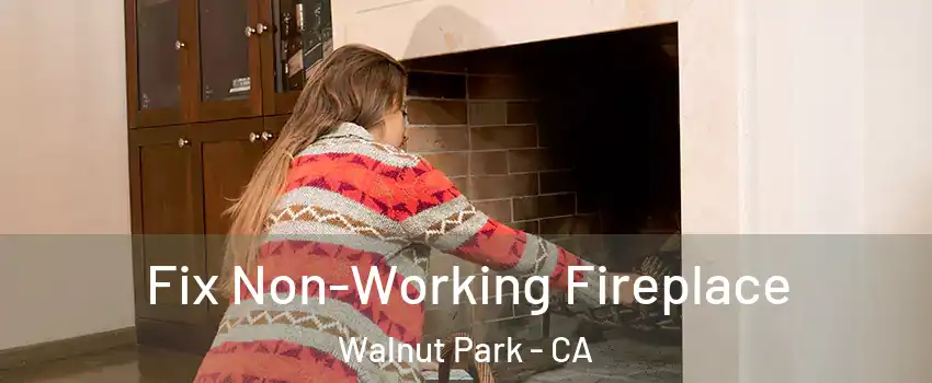 Fix Non-Working Fireplace Walnut Park - CA