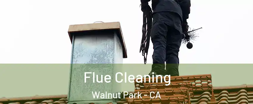 Flue Cleaning Walnut Park - CA