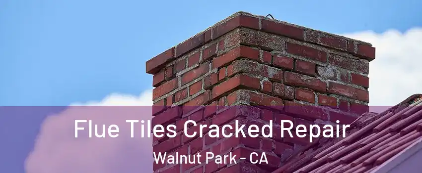Flue Tiles Cracked Repair Walnut Park - CA