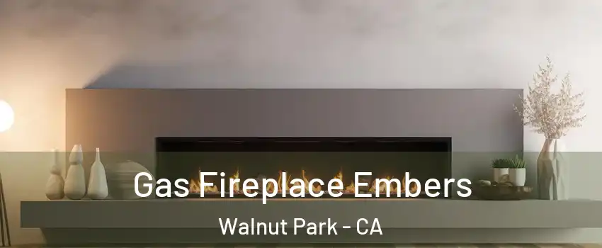 Gas Fireplace Embers Walnut Park - CA