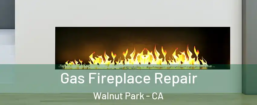 Gas Fireplace Repair Walnut Park - CA