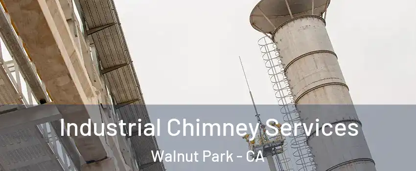 Industrial Chimney Services Walnut Park - CA