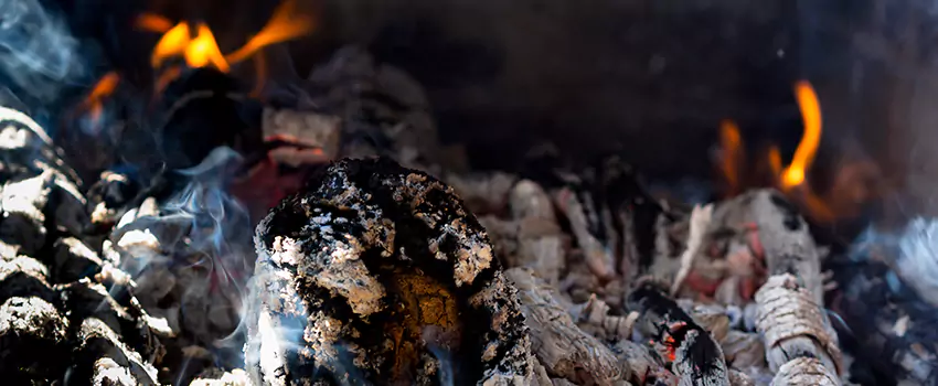 Creosote Removal Experts in Walnut Park, CA