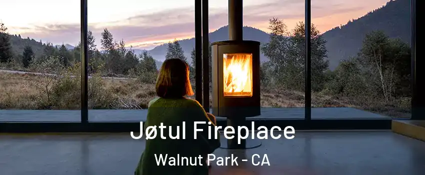  Jøtul Fireplace Walnut Park - CA