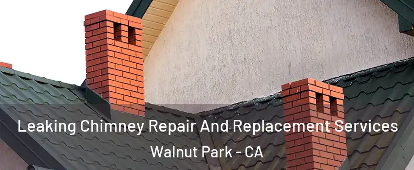  Leaking Chimney Repair And Replacement Services Walnut Park - CA
