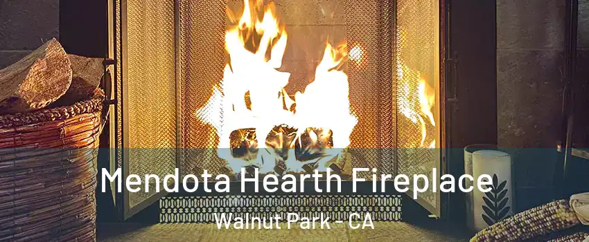  Mendota Hearth Fireplace Walnut Park - CA