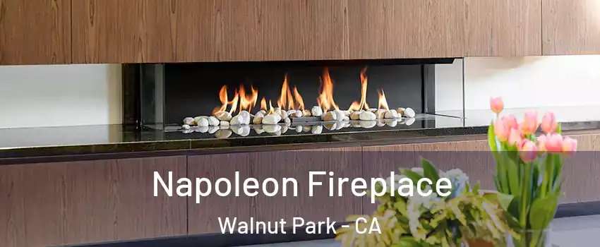  Napoleon Fireplace Walnut Park - CA