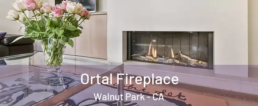 Ortal Fireplace Walnut Park - CA