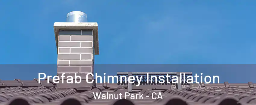  Prefab Chimney Installation Walnut Park - CA